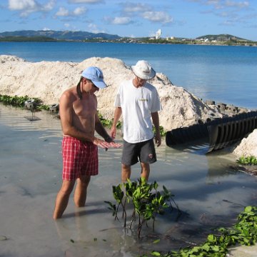 openingcontainerandfirstday4000mangroves_041