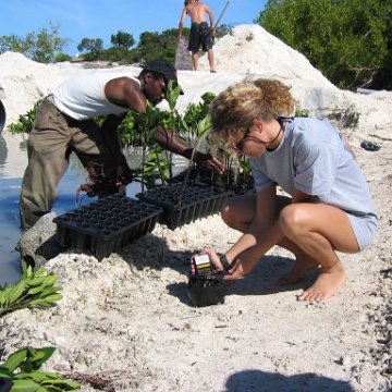 openingcontainerandfirstday4000mangroves_044