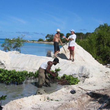 openingcontainerandfirstday4000mangroves_047