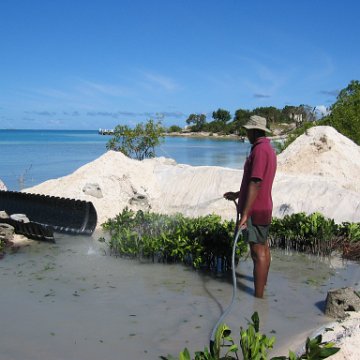 openingcontainerandfirstday4000mangroves_053