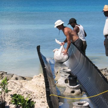 openingcontainerandfirstday4000mangroves_064