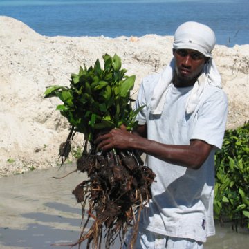 openingcontainerandfirstday4000mangroves_067