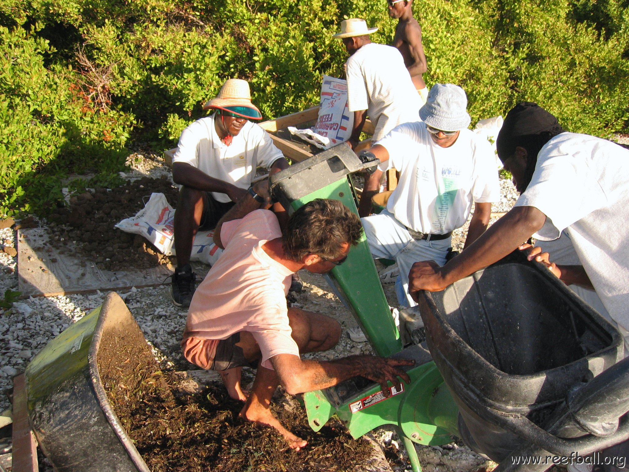 2nddaymangroves_058