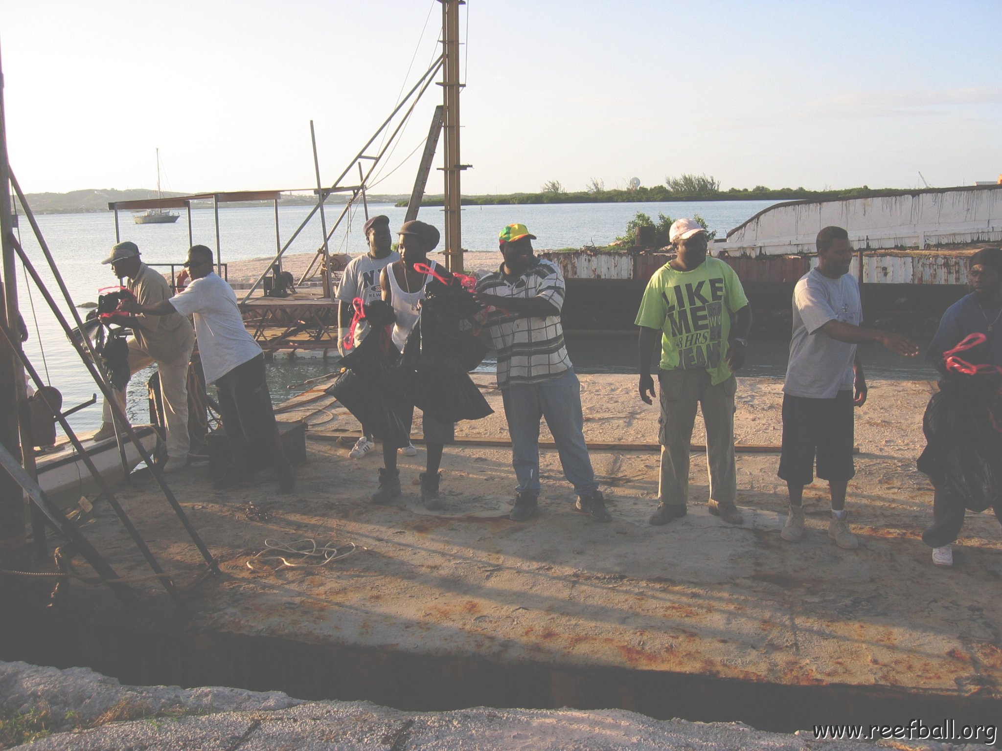 openingcontainerandfirstday4000mangroves_006