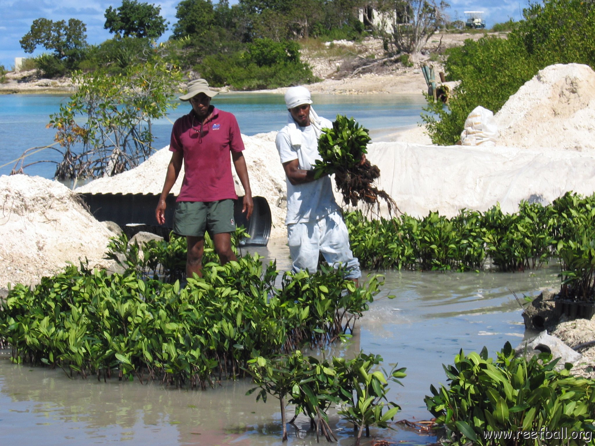 openingcontainerandfirstday4000mangroves_066