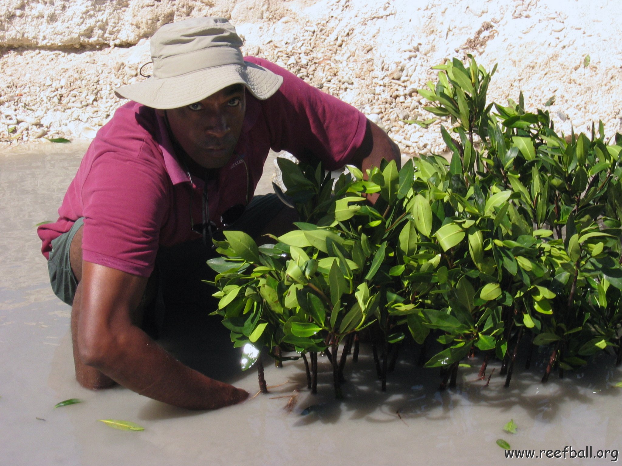 openingcontainerandfirstday4000mangroves_068