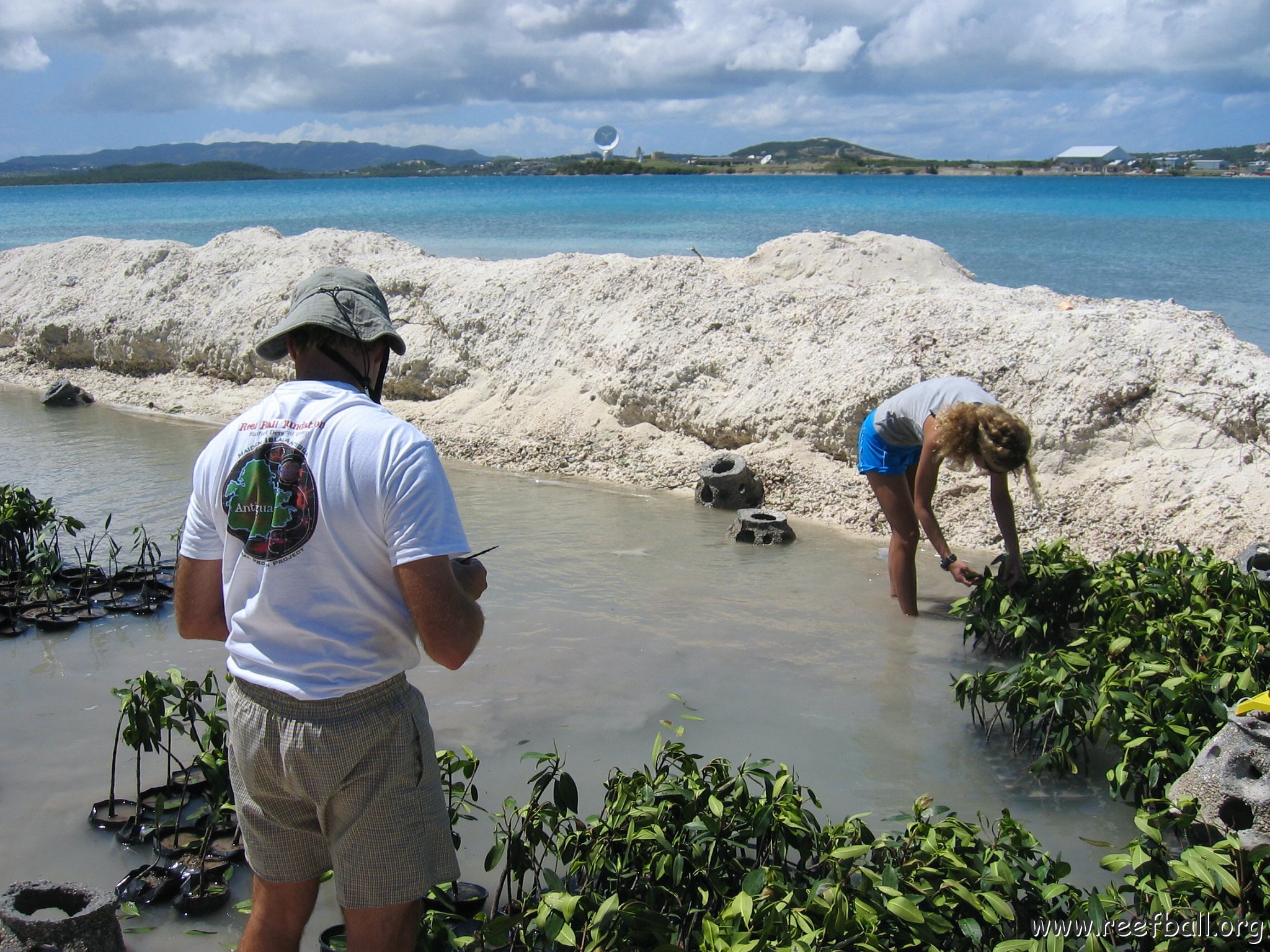 stevesmangroves3_022