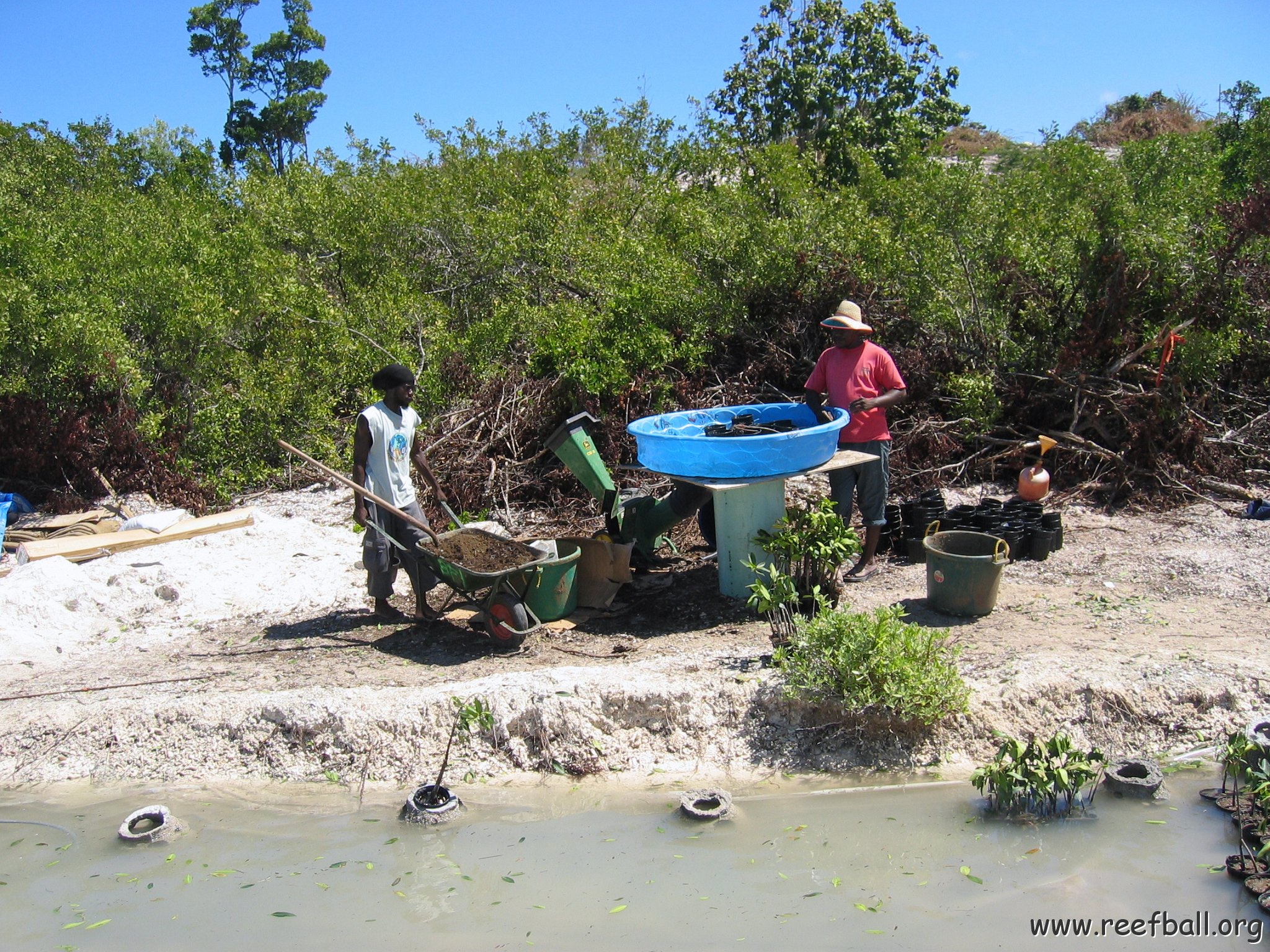 stevesmangroves3_026