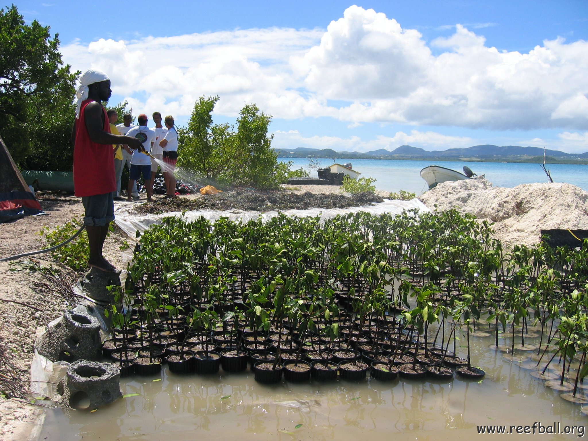 stevesmangroves5_011