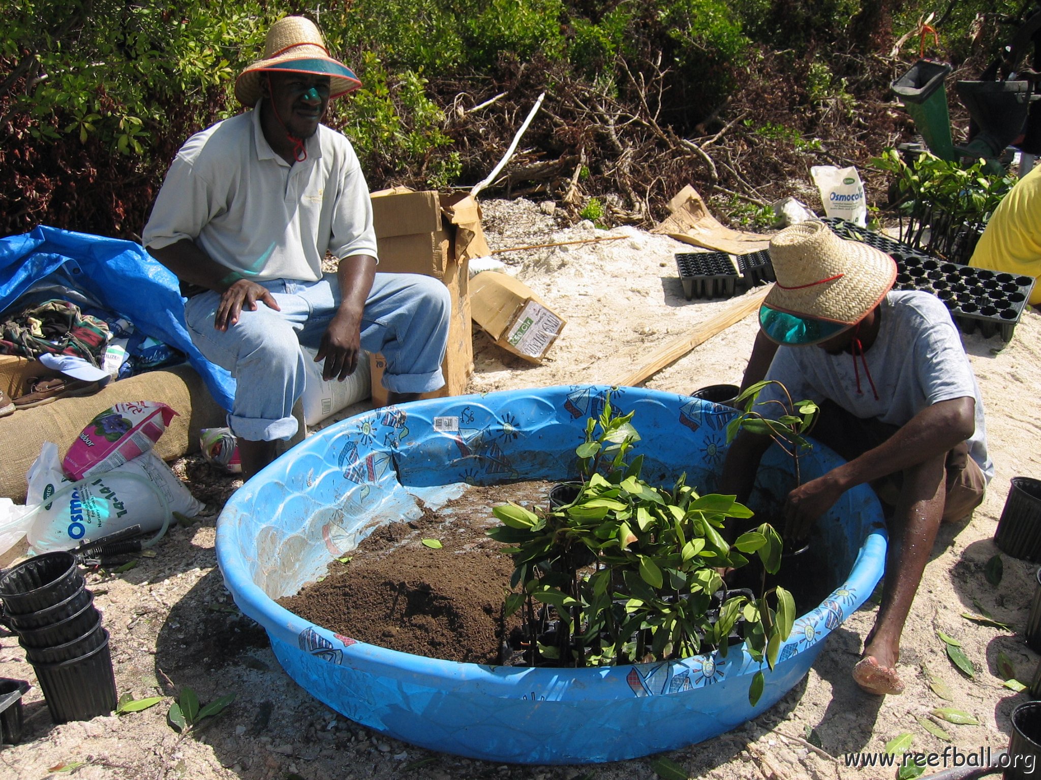 stevesmangroves5_023