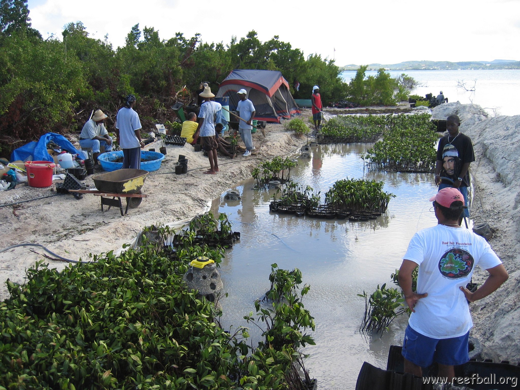 stevesmangroves5_033