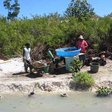 stevesmangroves3_026