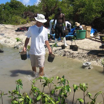 stevesmangroves5_018