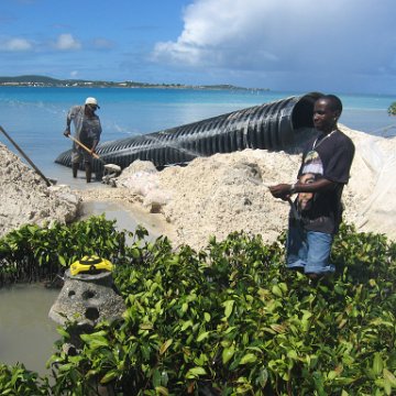 stevesmangroves5_021