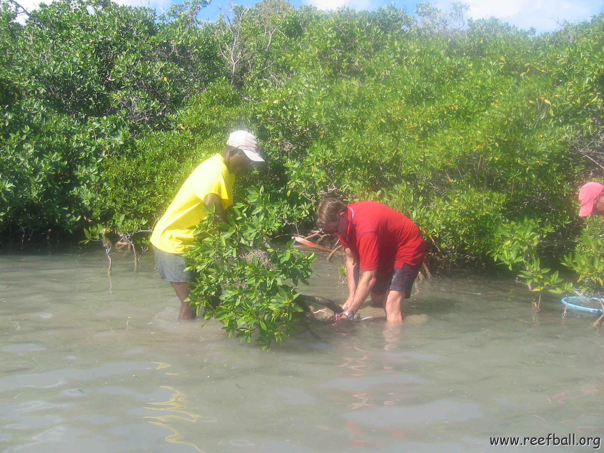 startof_mangrove_planting_10-12-2003_003