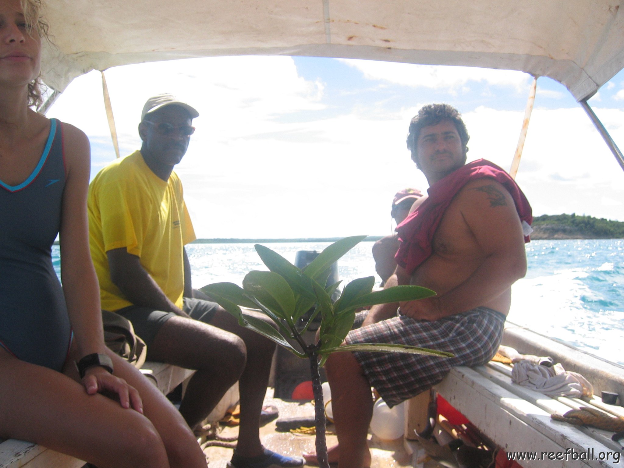 startof_mangrove_planting_10-12-2003_008