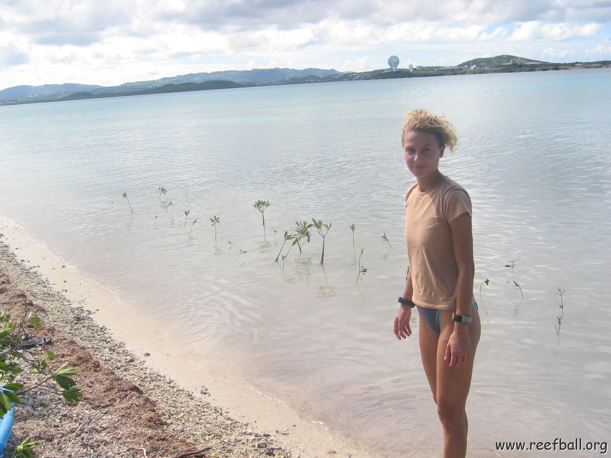 startof_mangrove_planting_10-12-2003_011