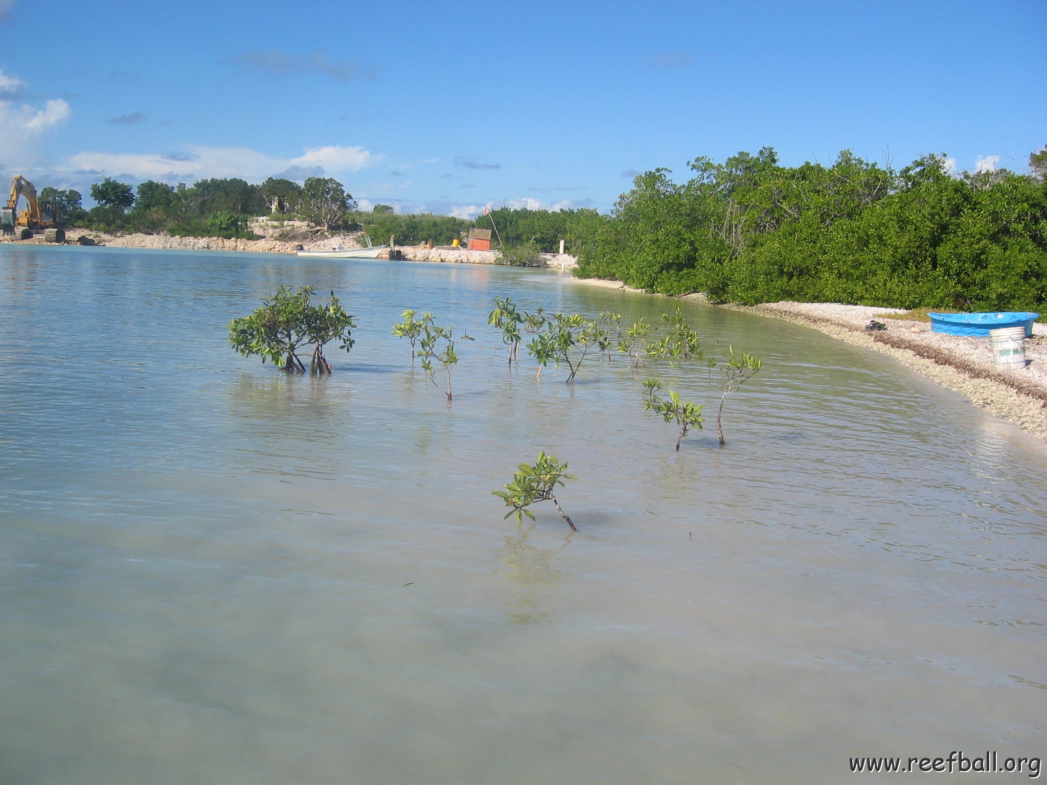 startof_mangrove_planting_10-12-2003_012