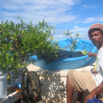 startof_mangrove_planting_10-12-2003_005