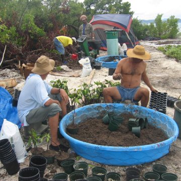 stevemangrovepics_005