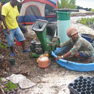 stevemangrovepics_006