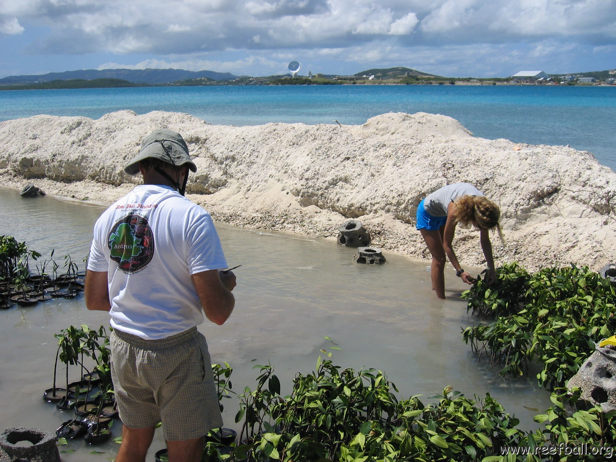 copy_of_stevesmangroves3_022