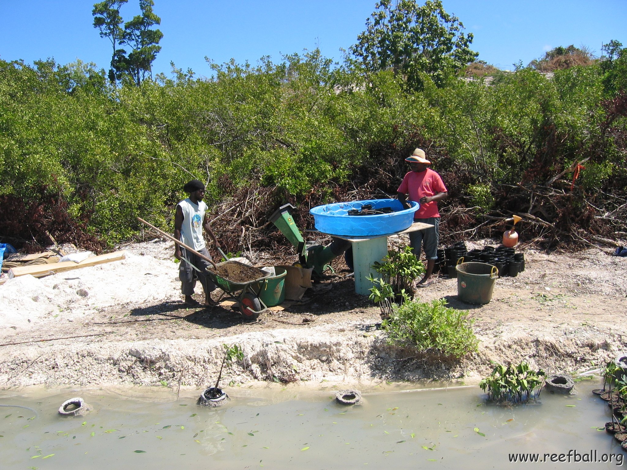 copy_of_stevesmangroves3_026