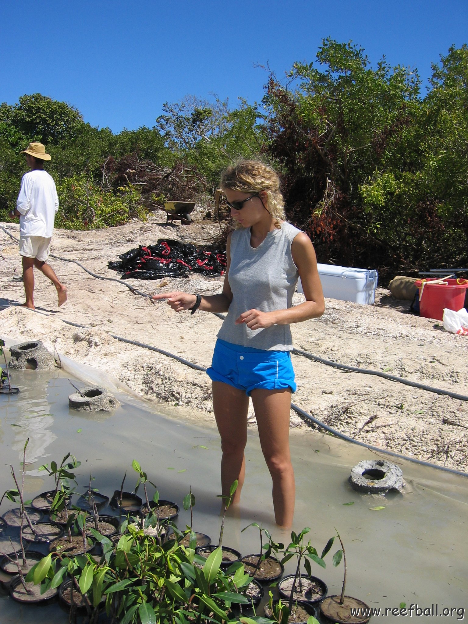 copy_of_stevesmangroves3_035