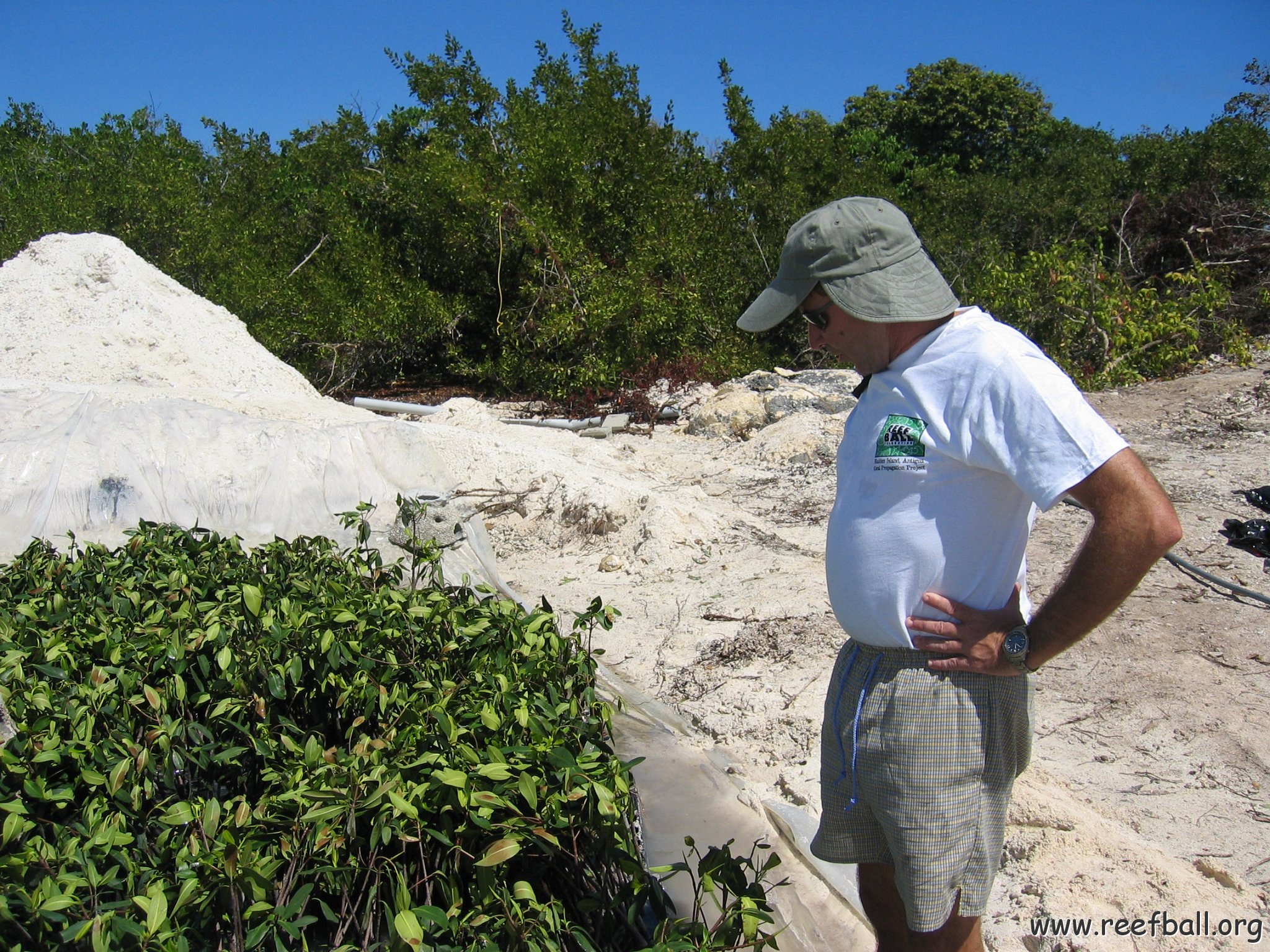 stevesmangroves3_023