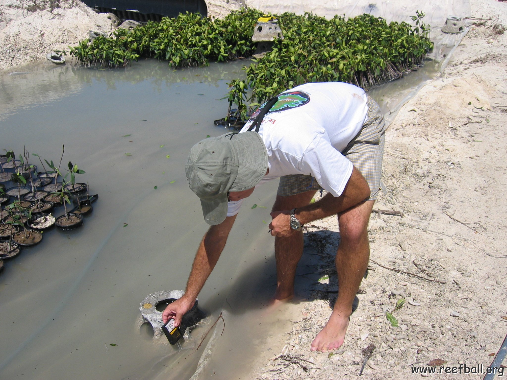 stevesmangroves3_025