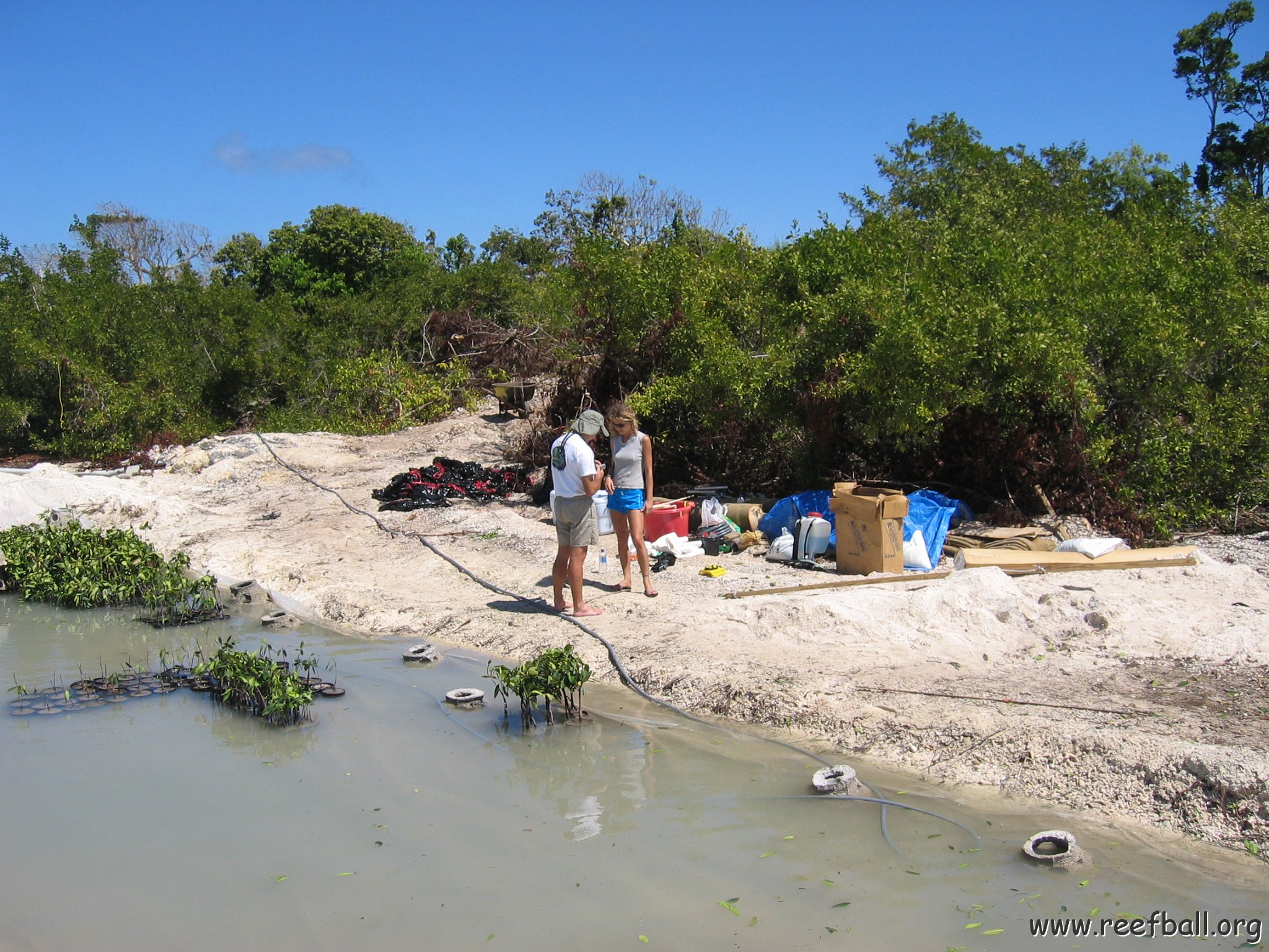 stevesmangroves3_027