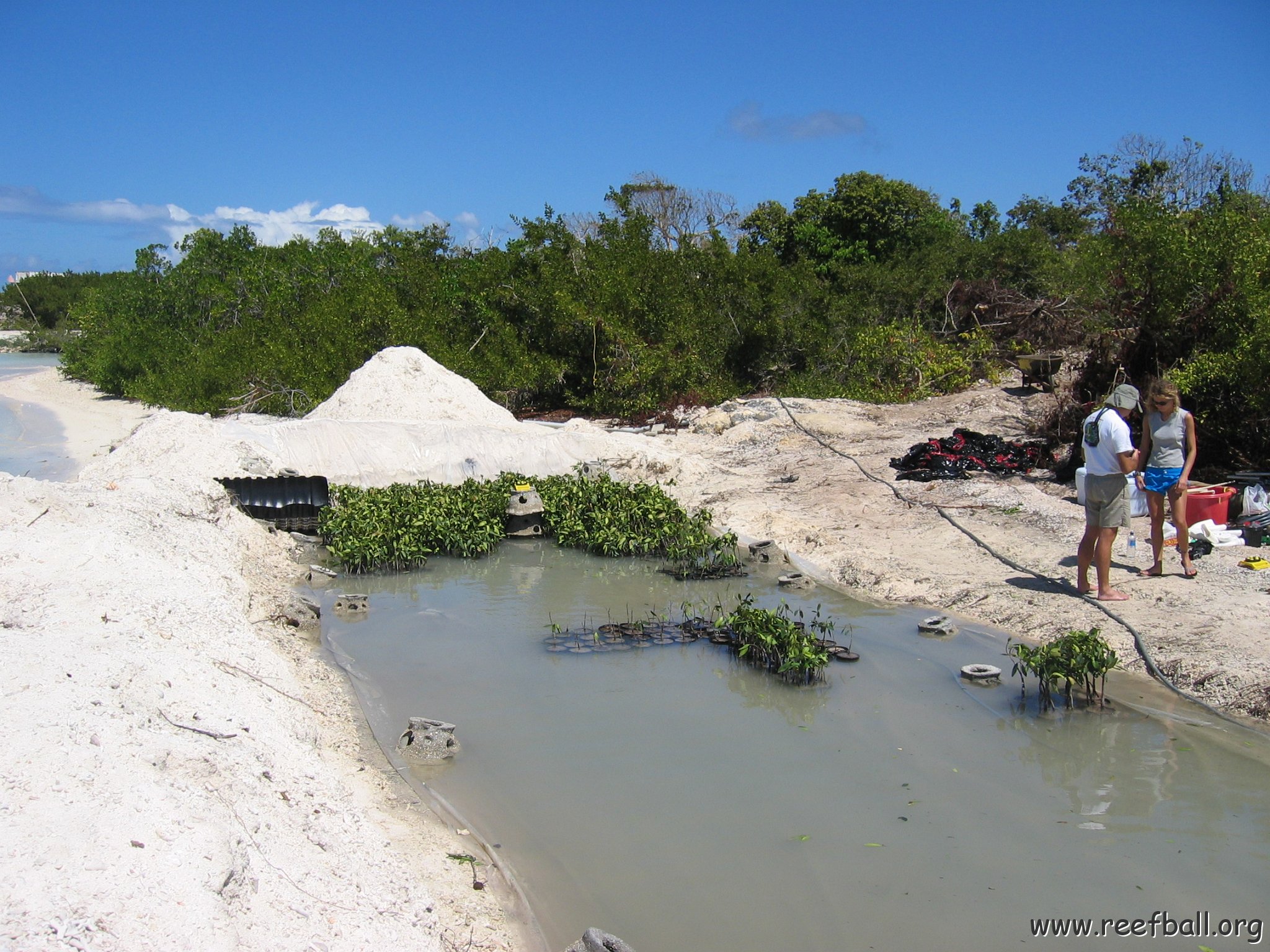 stevesmangroves3_028