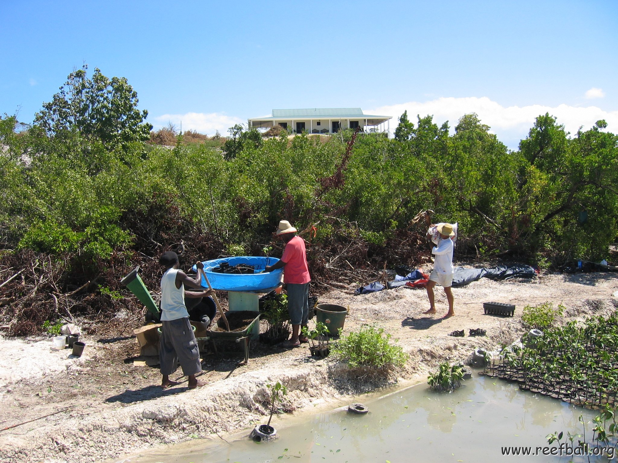 stevesmangroves3_030