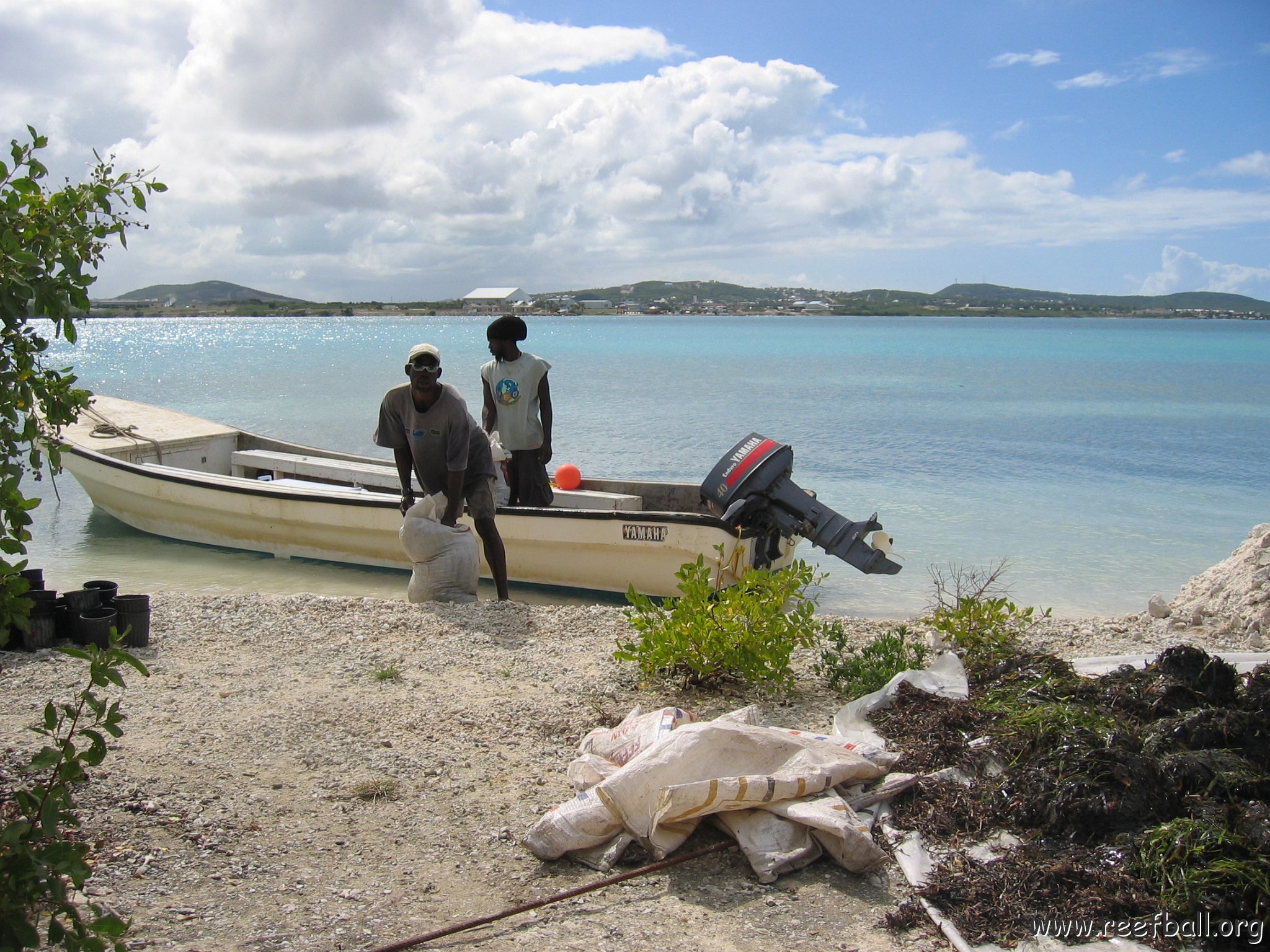 stevesmangroves3_036