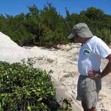 stevesmangroves3_023