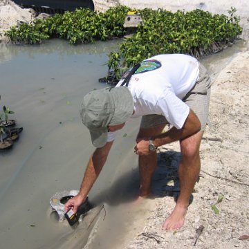 stevesmangroves3_025