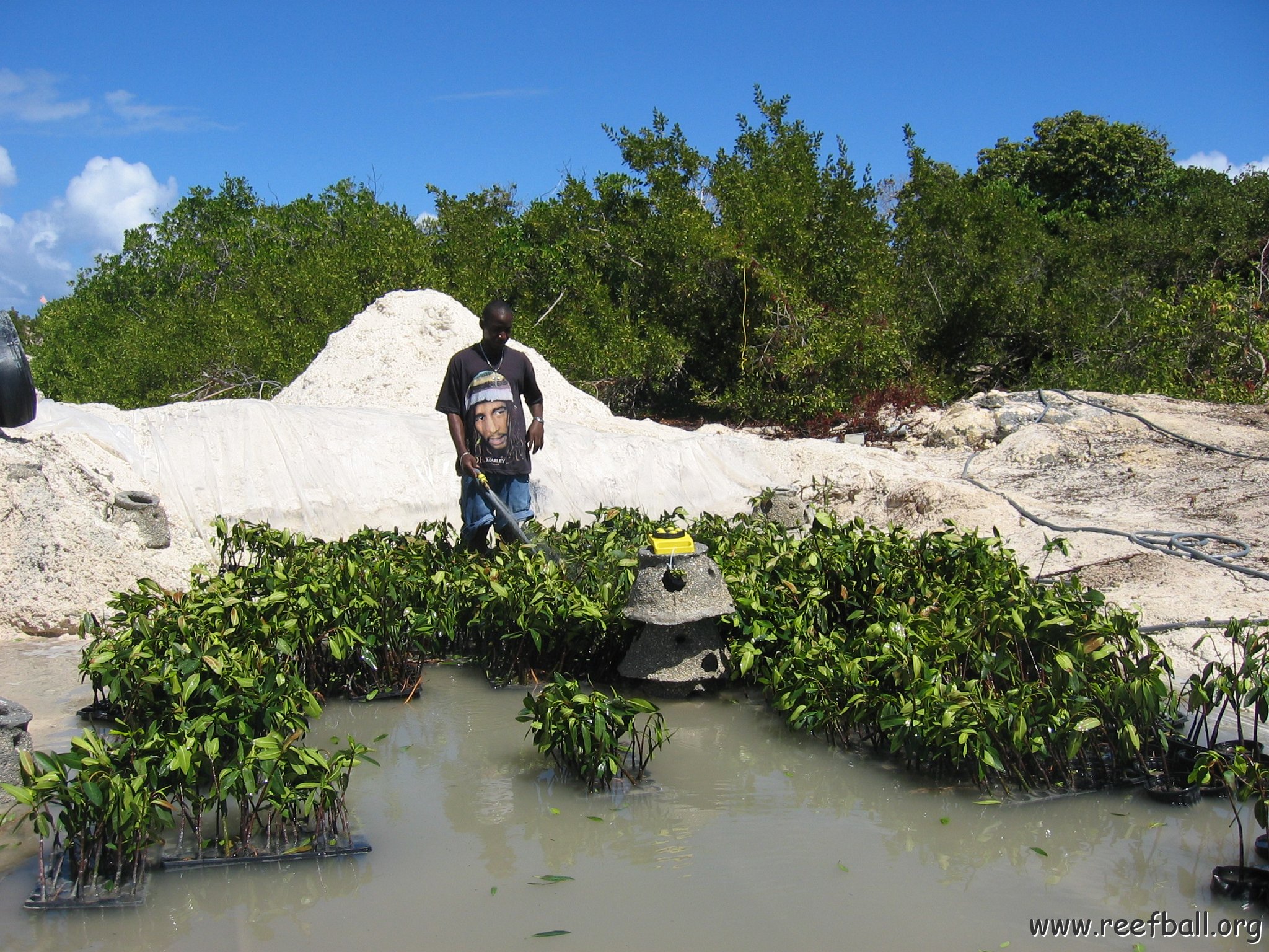 stevesmangroves5_012