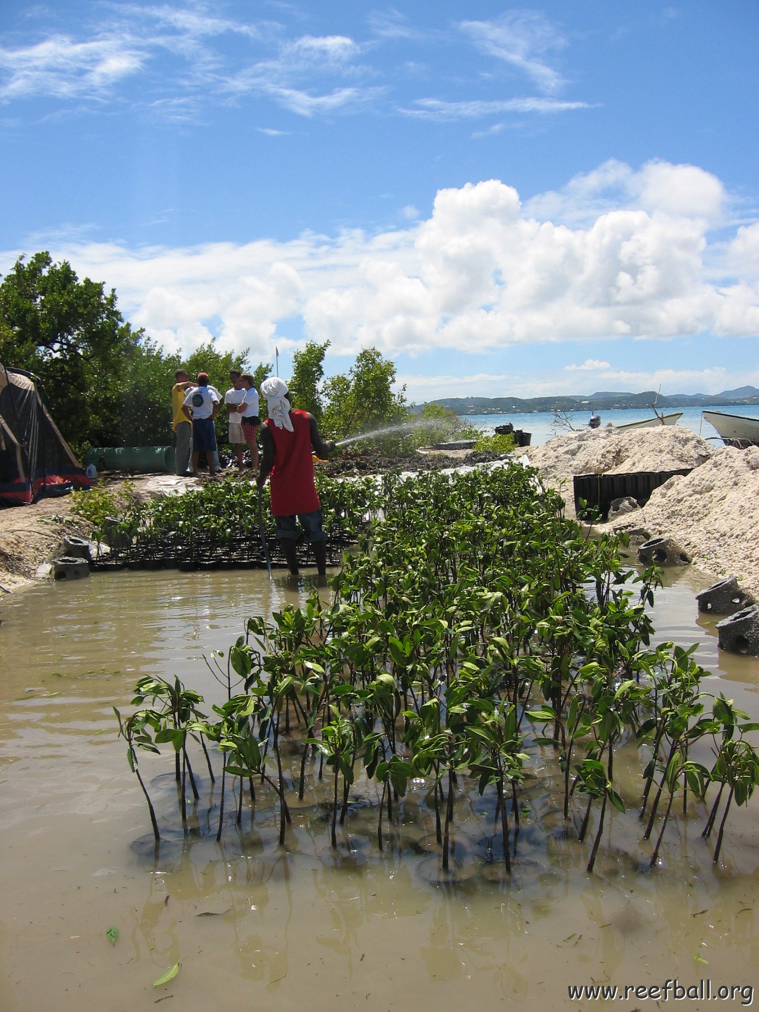 stevesmangroves5_013