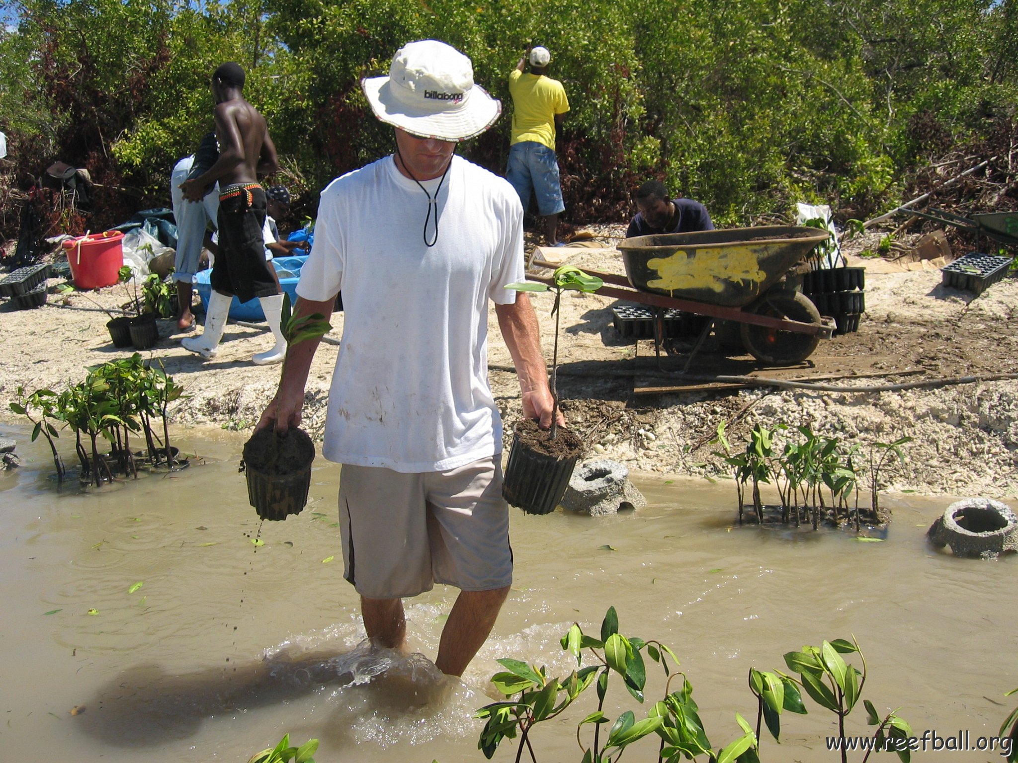 stevesmangroves5_016