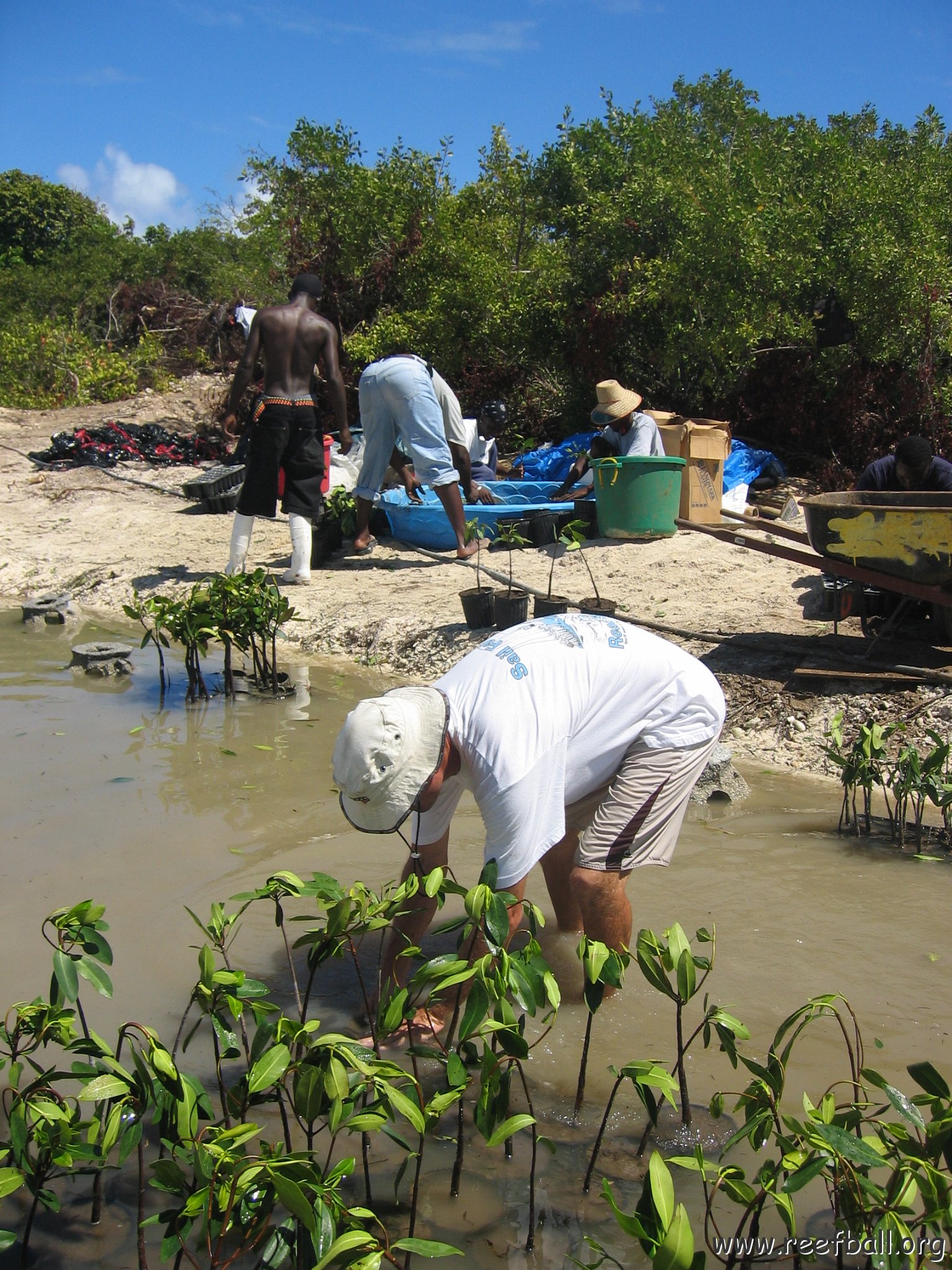 stevesmangroves5_017