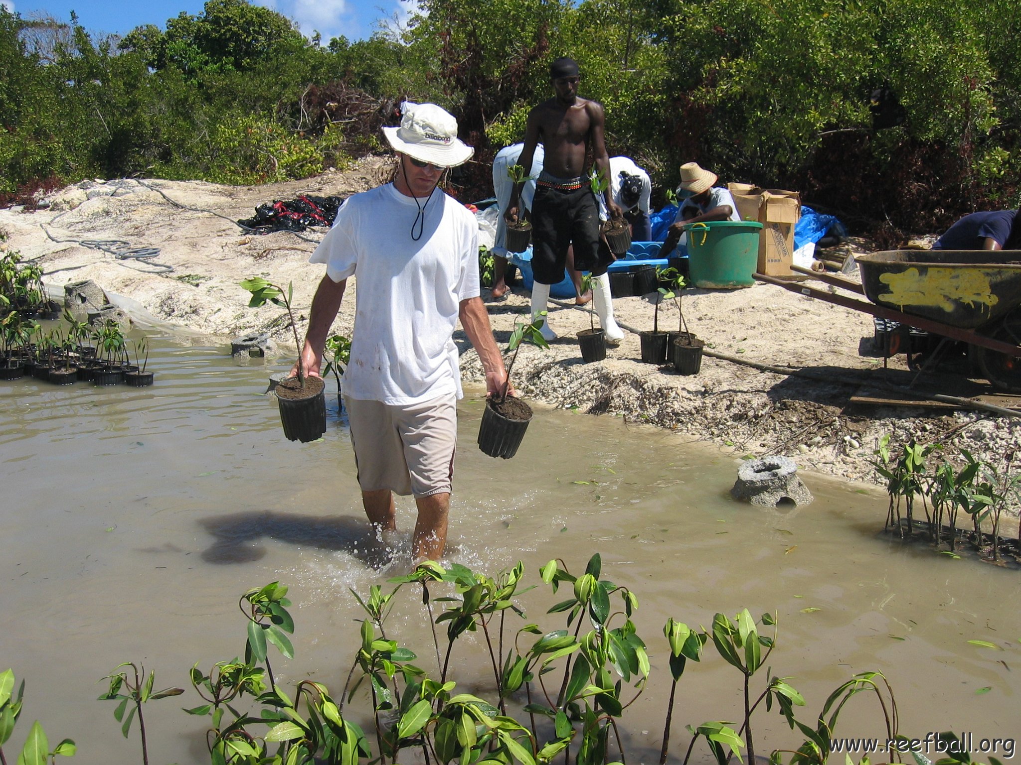 stevesmangroves5_018