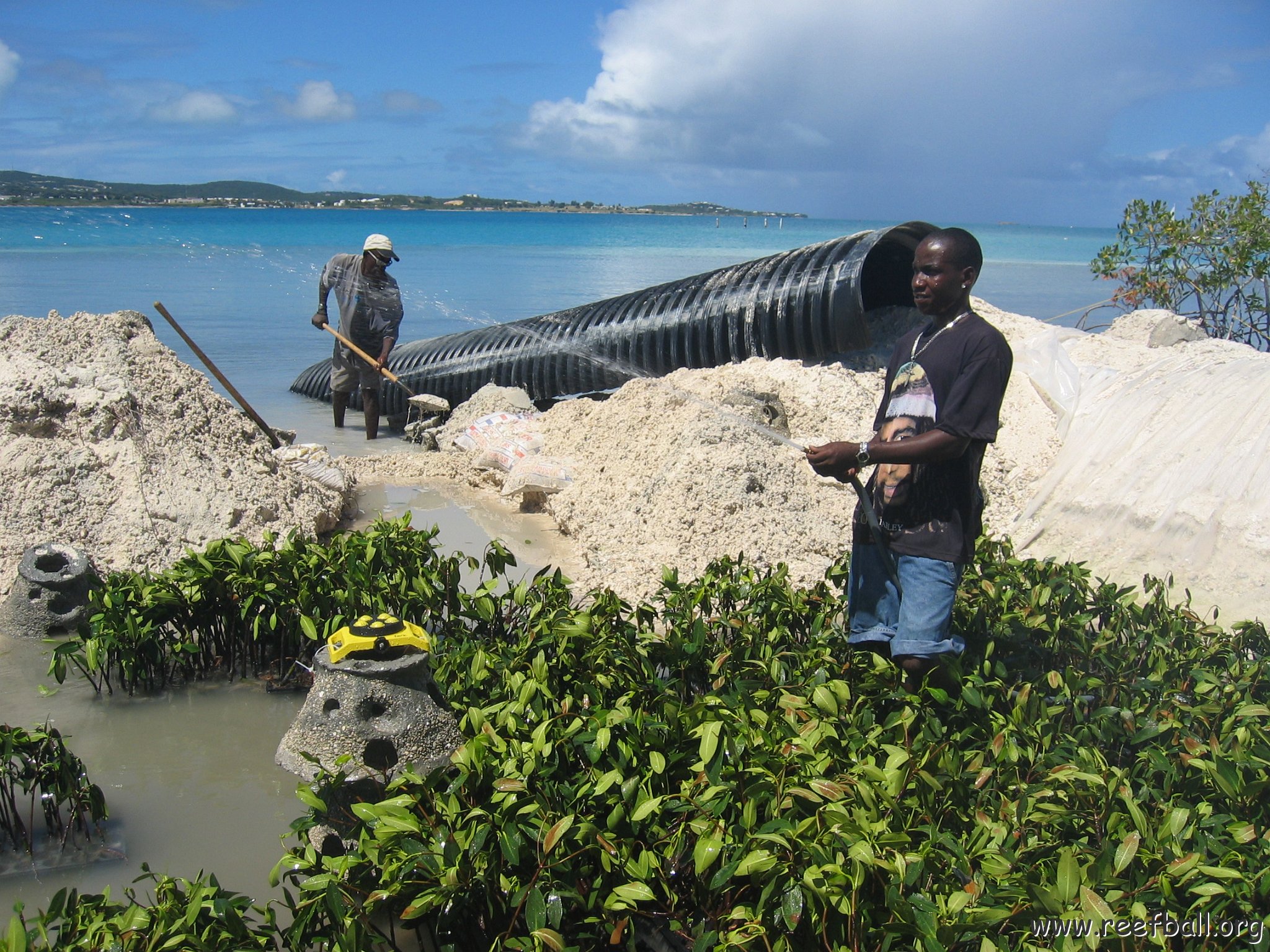 stevesmangroves5_021