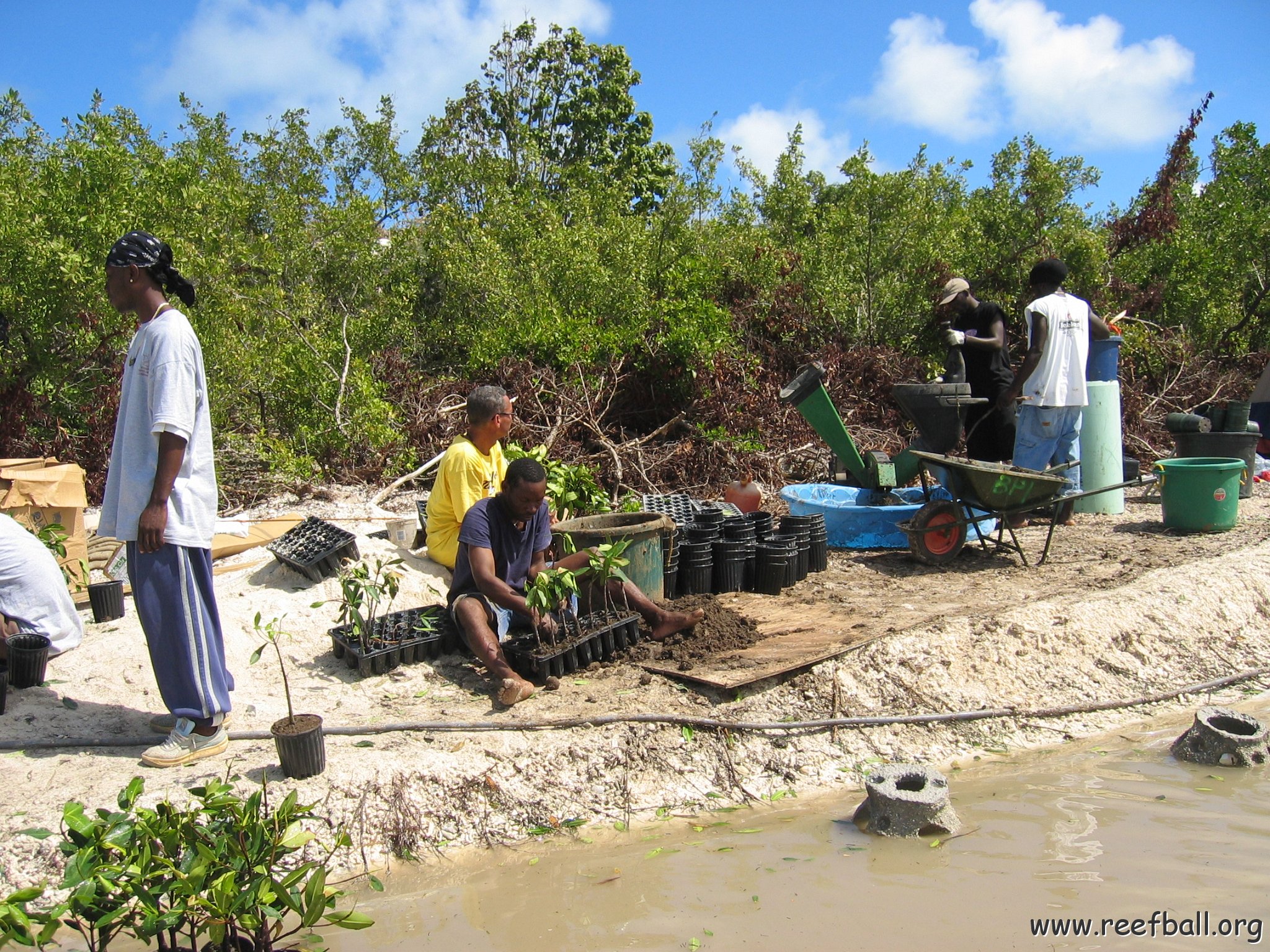 stevesmangroves5_025