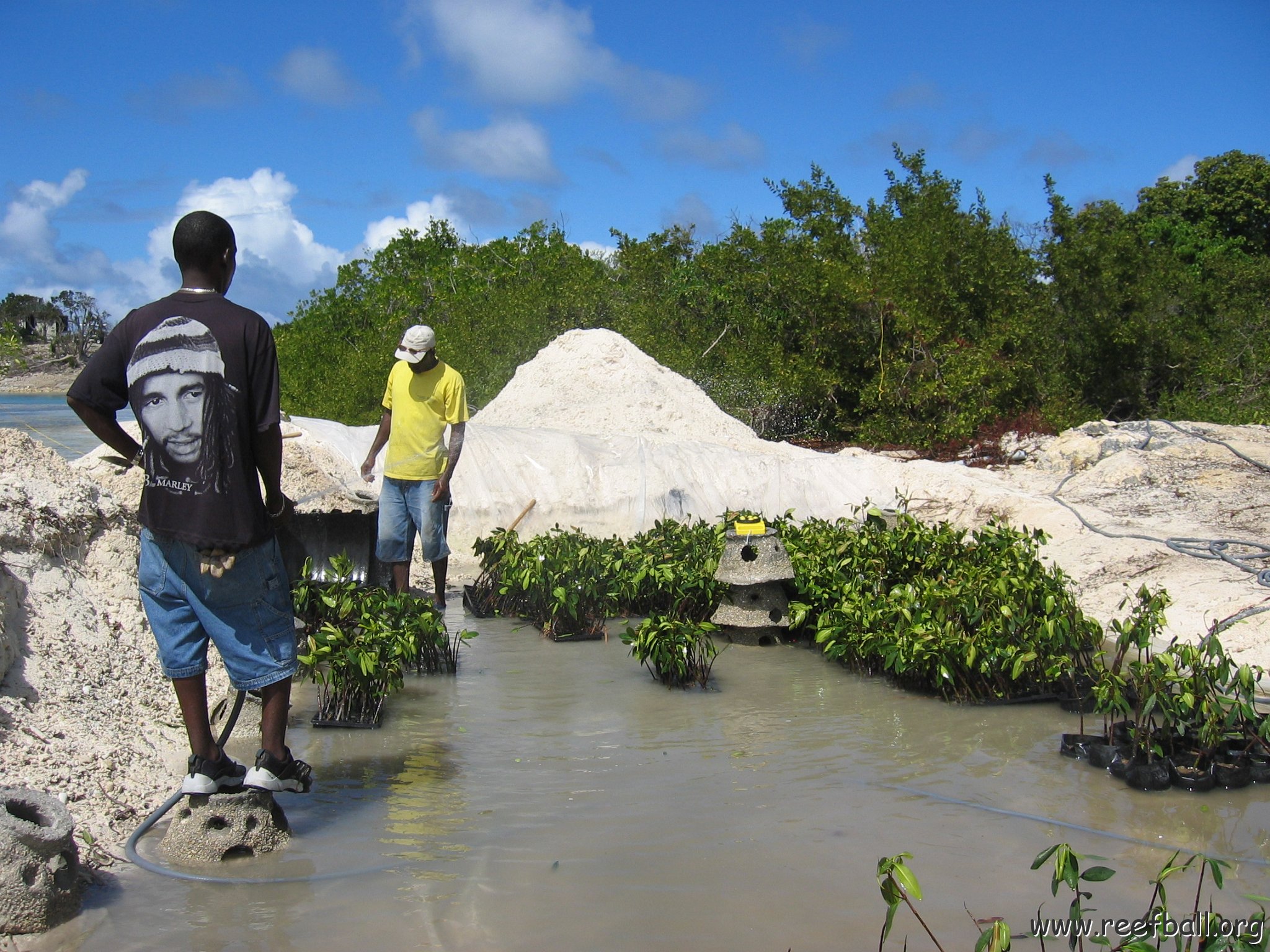 stevesmangroves5_026