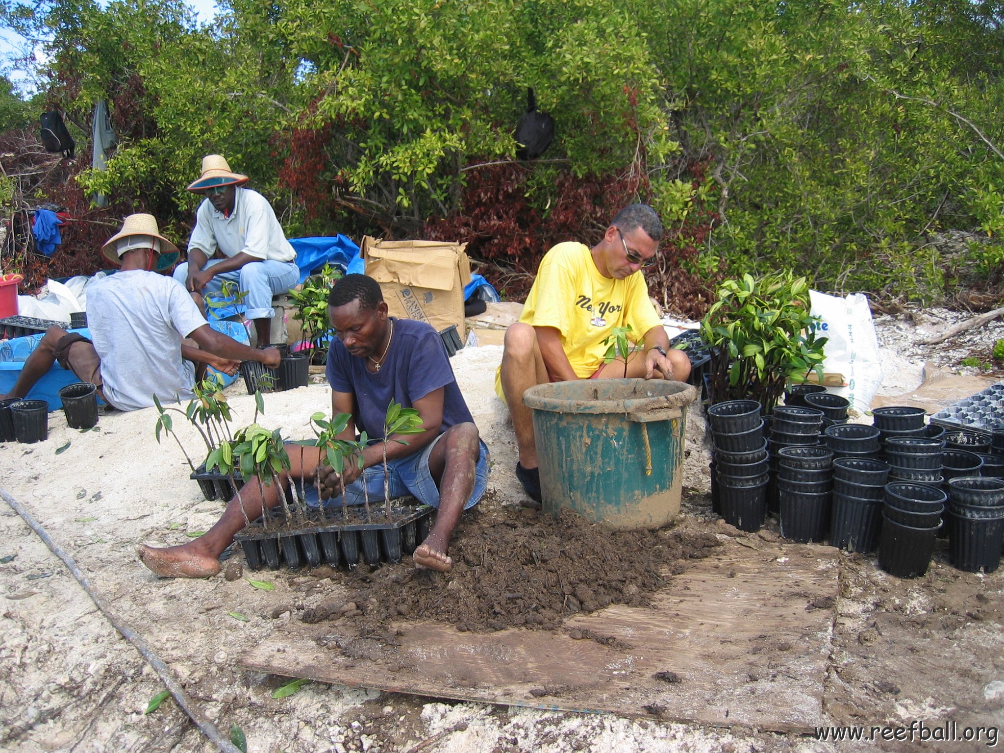 stevesmangroves5_027