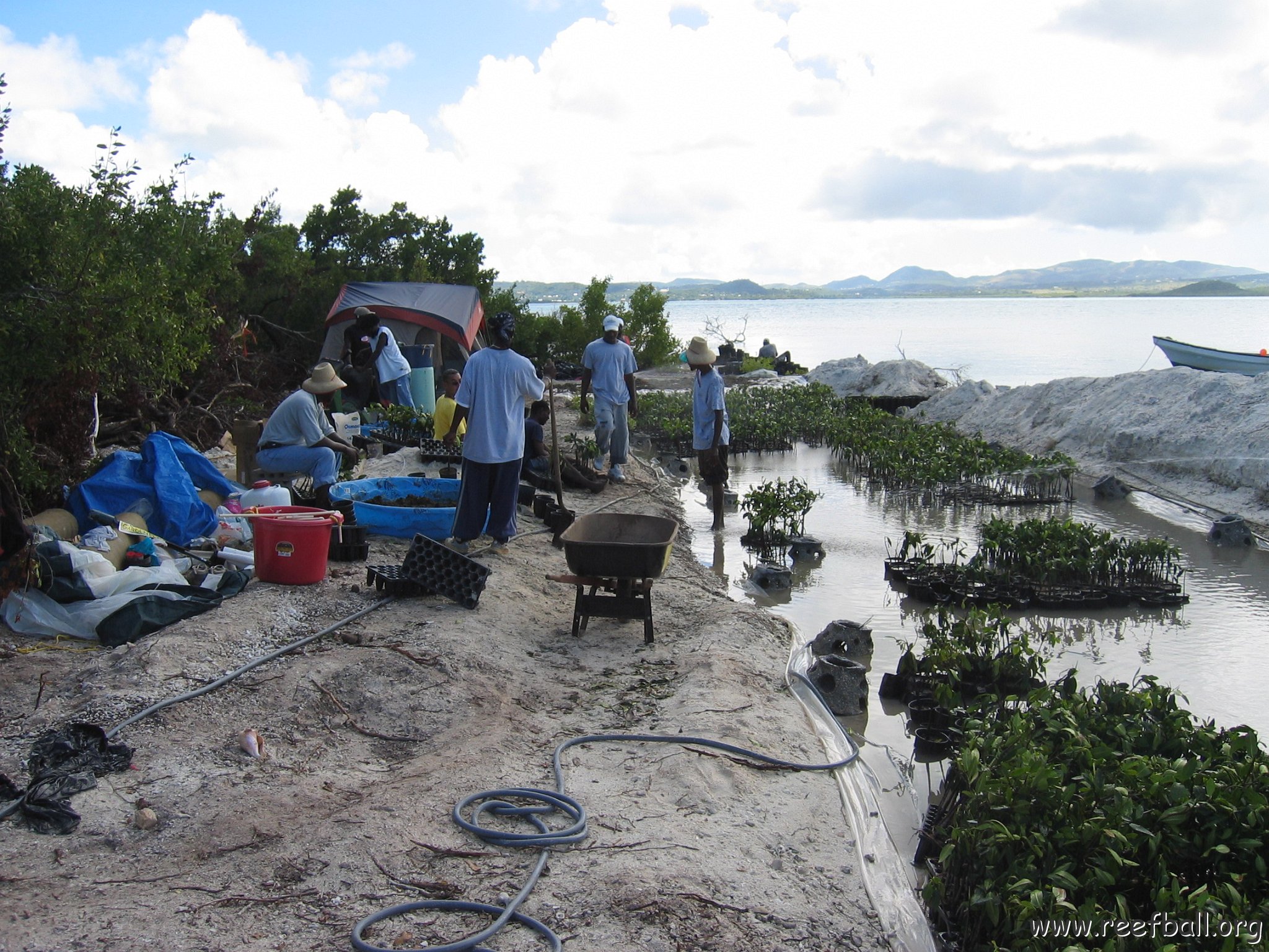 stevesmangroves5_032