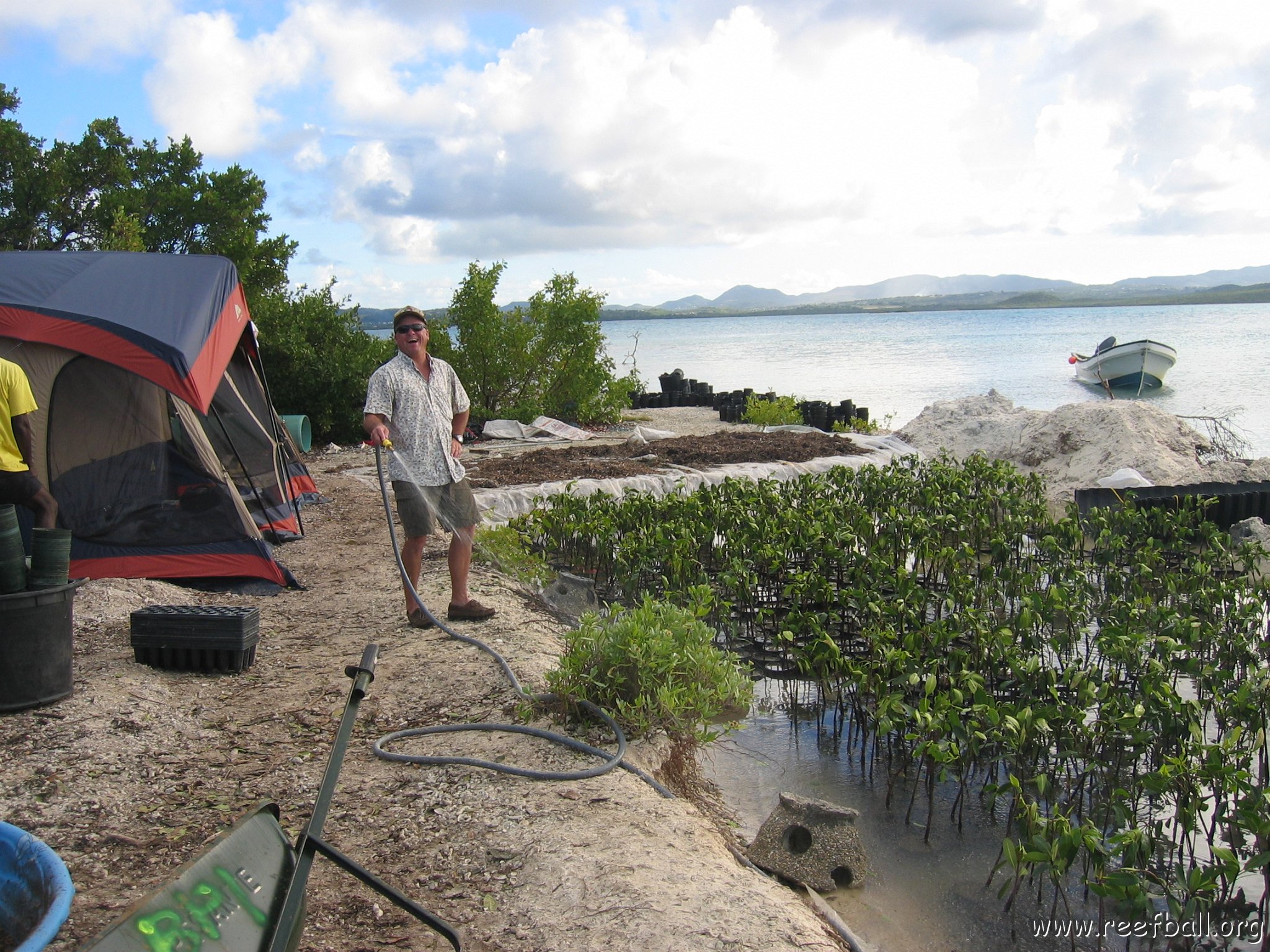 stevesmangroves5_034