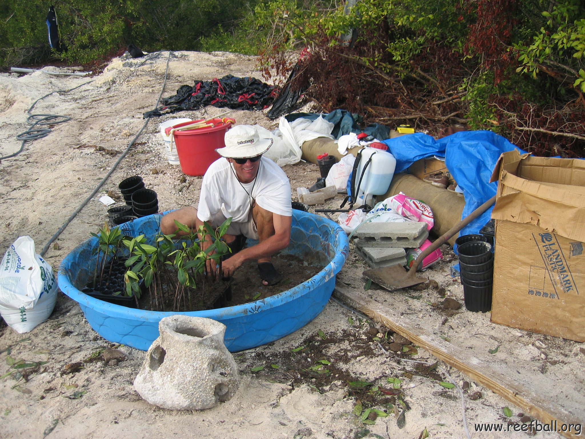 stevesmangroves5_036