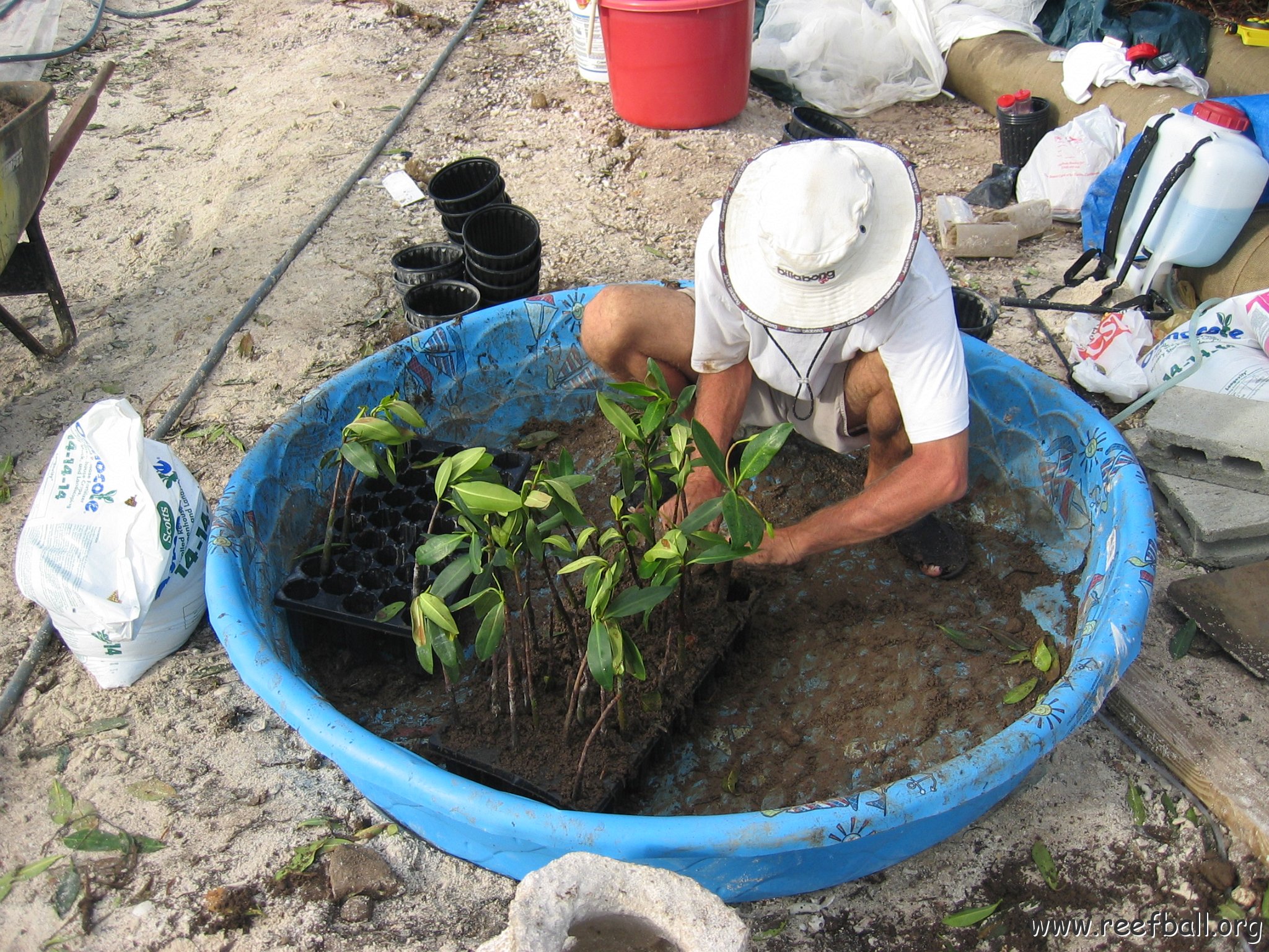 stevesmangroves5_037