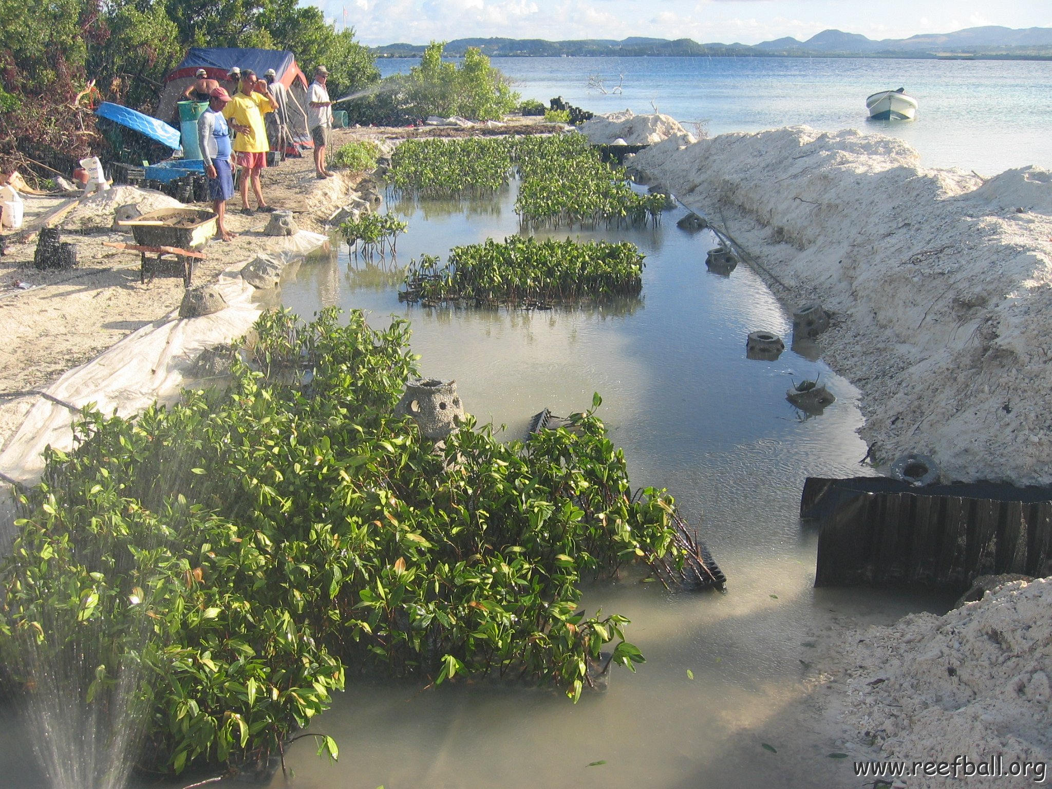 stevesmangroves5_047